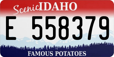 ID license plate E558379