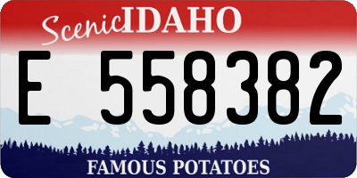 ID license plate E558382