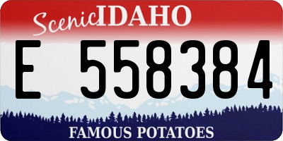 ID license plate E558384