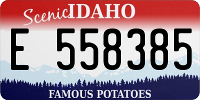 ID license plate E558385