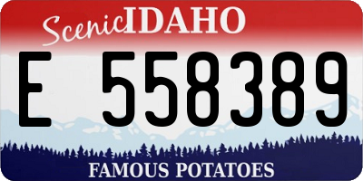ID license plate E558389