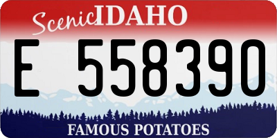 ID license plate E558390