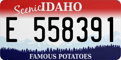ID license plate E558391