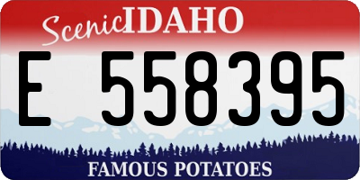 ID license plate E558395