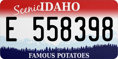 ID license plate E558398