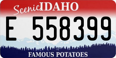 ID license plate E558399