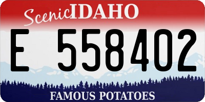 ID license plate E558402