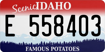 ID license plate E558403