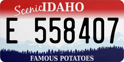 ID license plate E558407