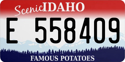 ID license plate E558409