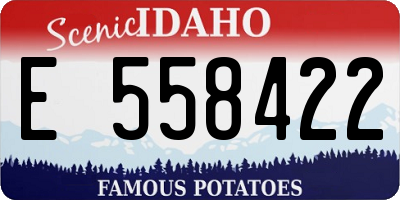 ID license plate E558422