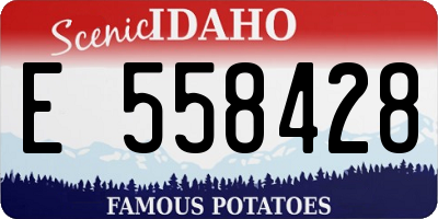 ID license plate E558428