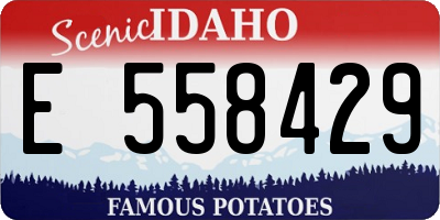 ID license plate E558429