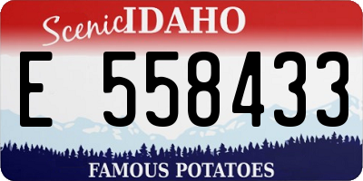 ID license plate E558433