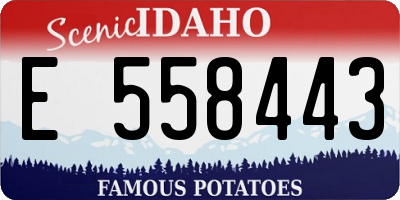 ID license plate E558443