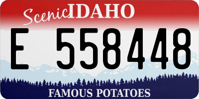 ID license plate E558448