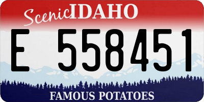 ID license plate E558451