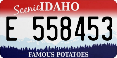 ID license plate E558453