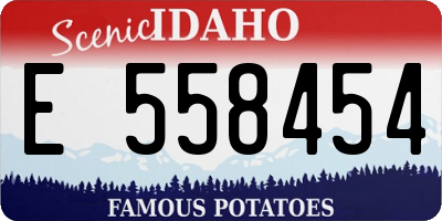 ID license plate E558454