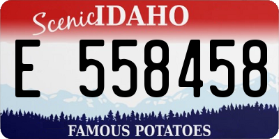 ID license plate E558458