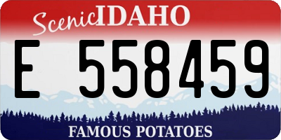 ID license plate E558459