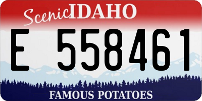 ID license plate E558461