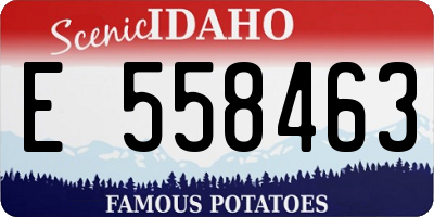 ID license plate E558463