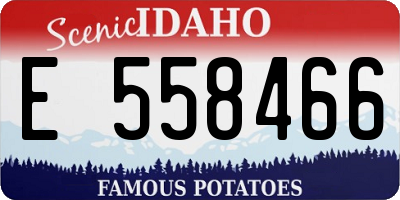 ID license plate E558466