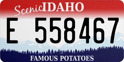 ID license plate E558467