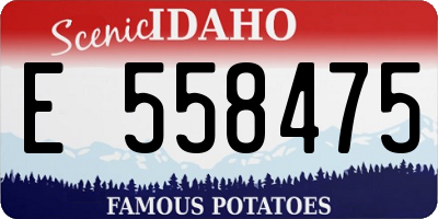 ID license plate E558475