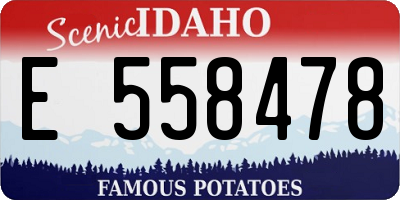 ID license plate E558478