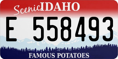 ID license plate E558493