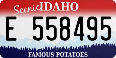 ID license plate E558495