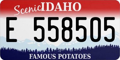 ID license plate E558505