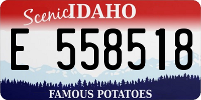 ID license plate E558518