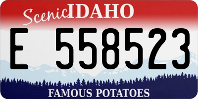 ID license plate E558523