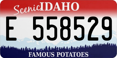 ID license plate E558529