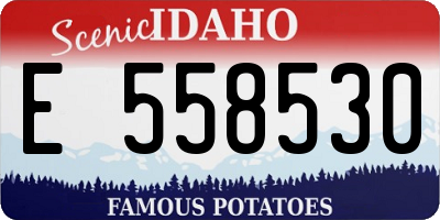 ID license plate E558530