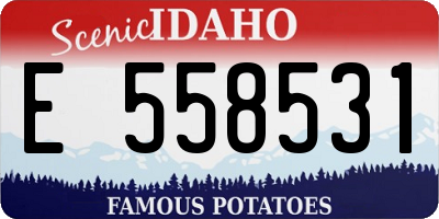ID license plate E558531