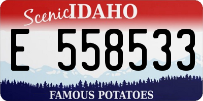 ID license plate E558533