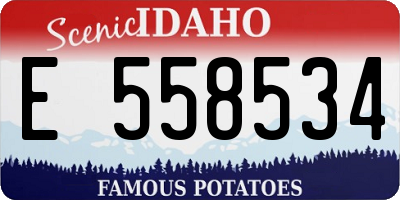 ID license plate E558534