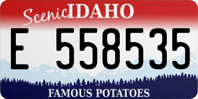 ID license plate E558535