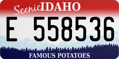 ID license plate E558536