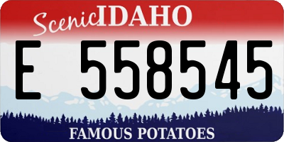 ID license plate E558545