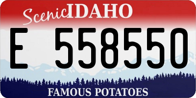 ID license plate E558550
