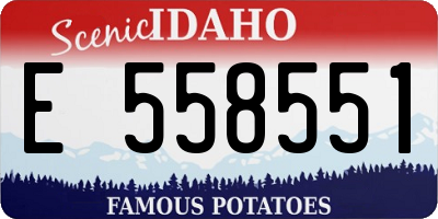 ID license plate E558551