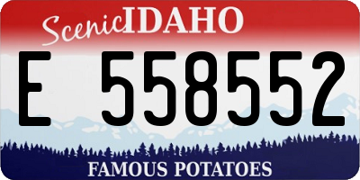 ID license plate E558552