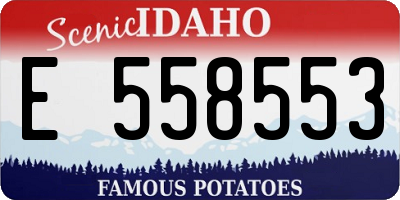 ID license plate E558553