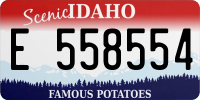 ID license plate E558554