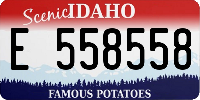 ID license plate E558558